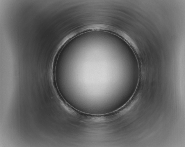 X0000116150845200911301539