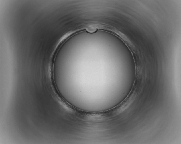 X0000116150846200911301539