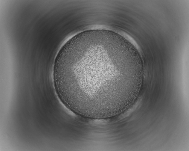 X0000116150847200911301539