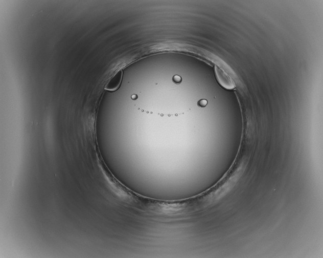 X0000116150849200911301539