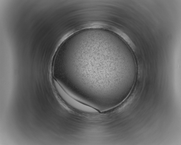 X0000116150850200911301539