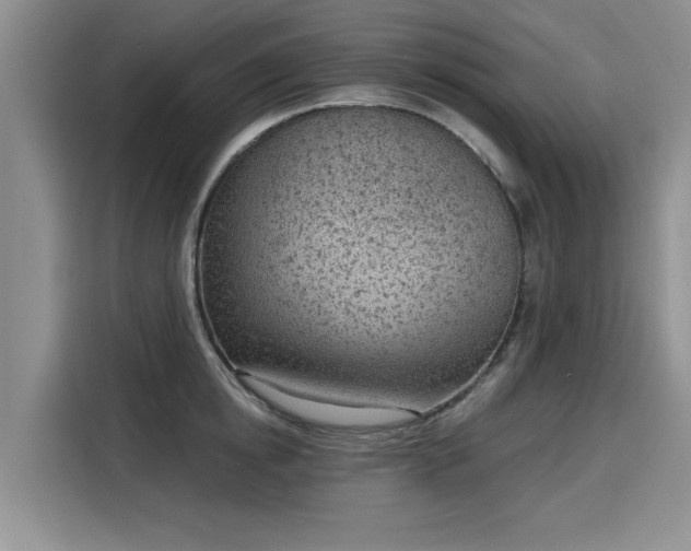 X0000116150854200911301539