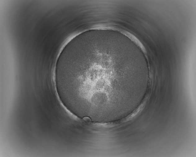 X0000116150855200911301539