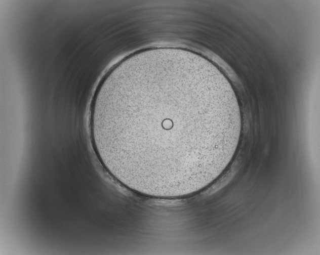 X0000116150856200911301539