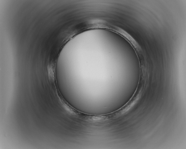 X0000116150857200911301539