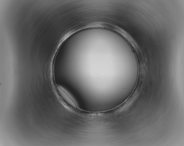 X0000116150858200911301539