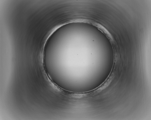 X0000116150860200911301539