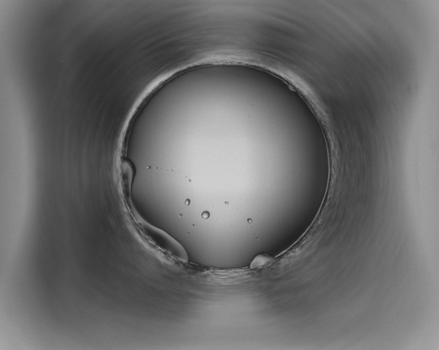 X0000116150864200911301539