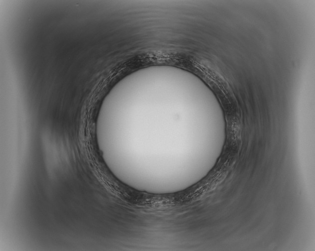 X0000116150865200911301539