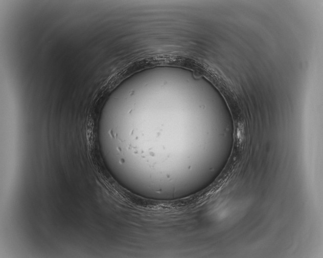 X0000116150867200911301539