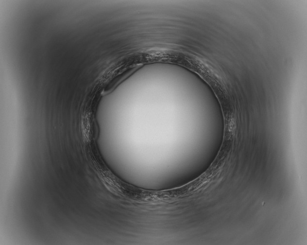 X0000116150868200911301539