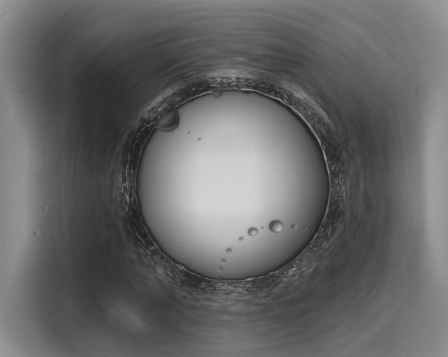 X0000116150870200911301539