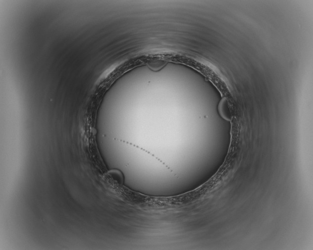 X0000116150871200911301539