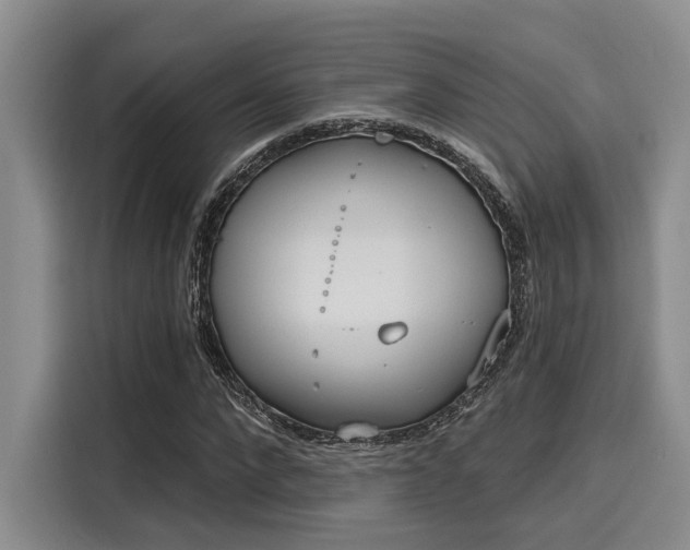 X0000116150872200911301539