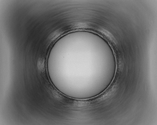 X0000116150873200911301539