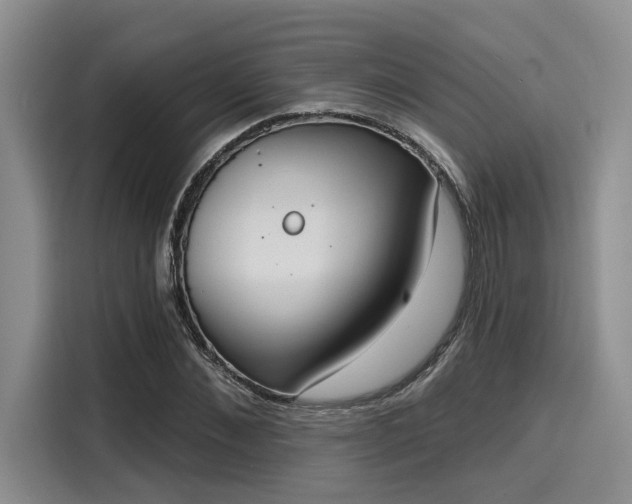 X0000116150876200911301538