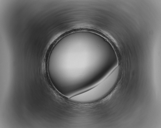 X0000116150877200911301538