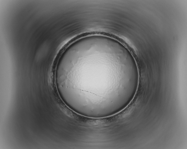 X0000116150879200911301538