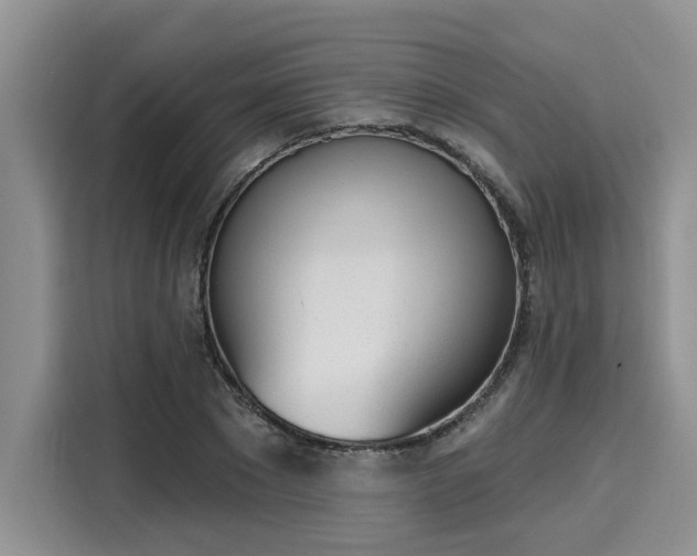 X0000116150881200911301538