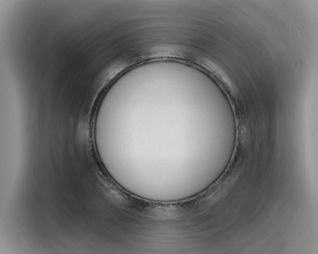 X0000116150882200911301538