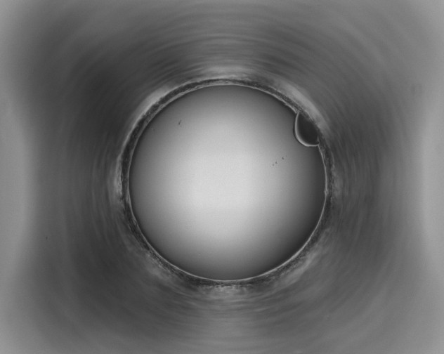 X0000116150883200911301538