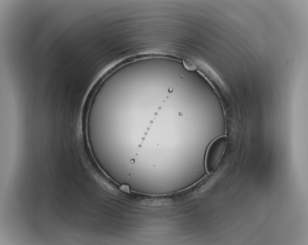 X0000116150884200911301538