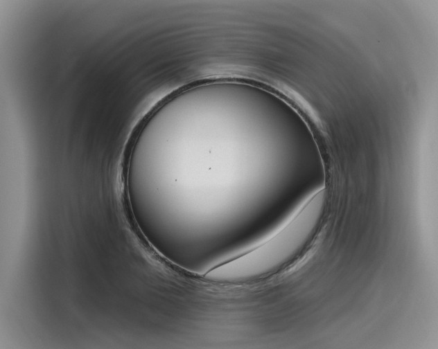 X0000116150885200911301538