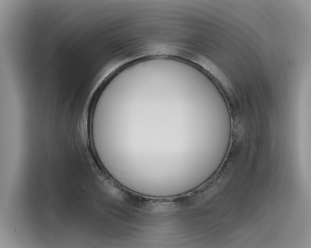 X0000116150886200911301538