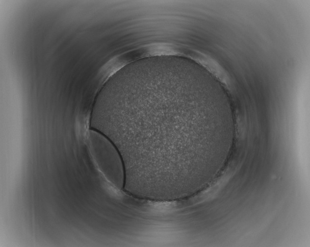 X0000116150889200911301538