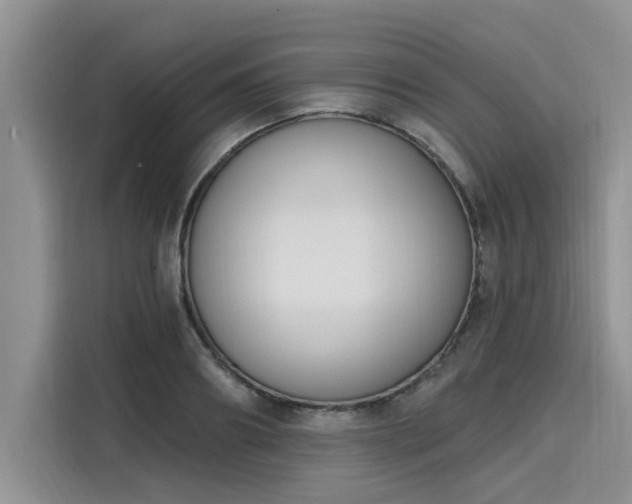 X0000116150890200911301538