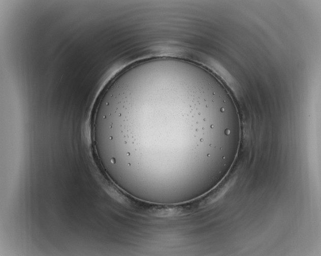 X0000116150891200911301538