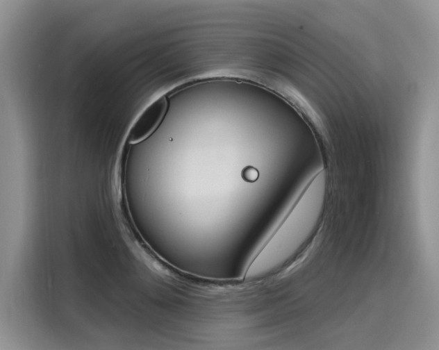 X0000116150892200911301538