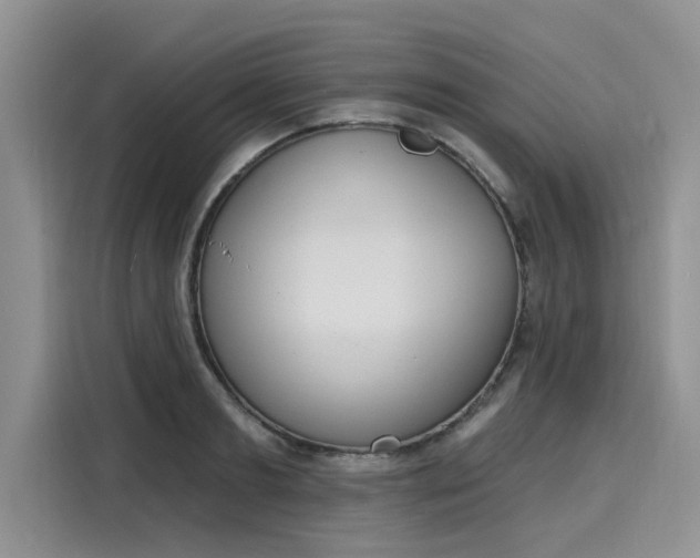 X0000116150893200911301538