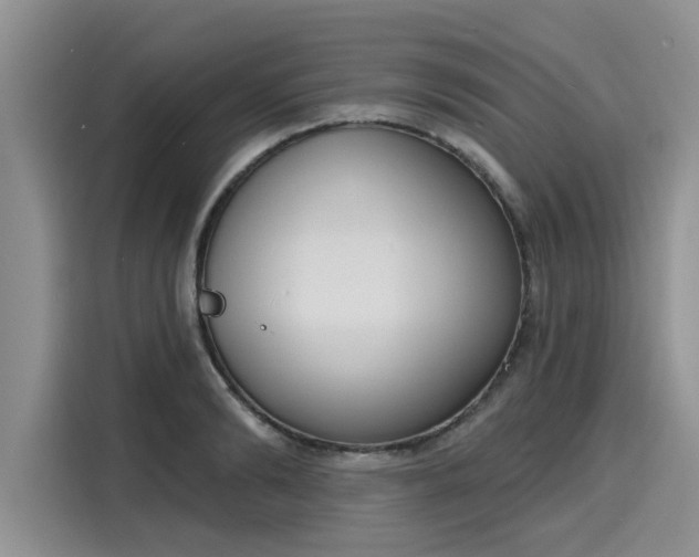 X0000116150894200911301538