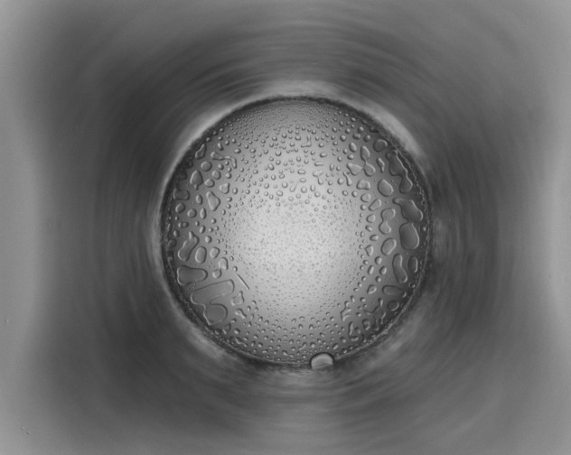 X0000116150895200911301538