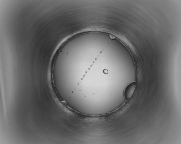 X0000116150896200911301538