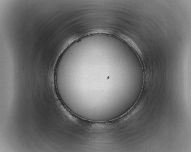 X0000116150898200911301538