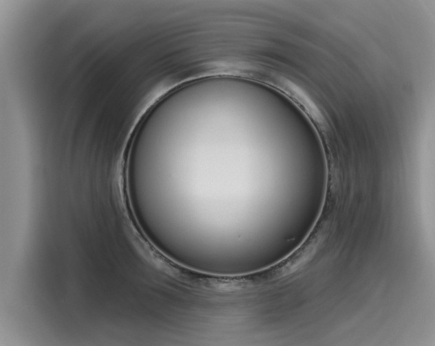 X0000116150899200911301538