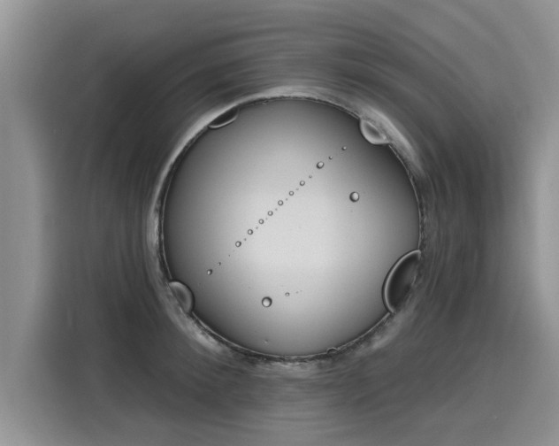 X0000116150900200911301538