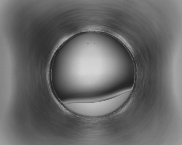 X0000116150901200911301538