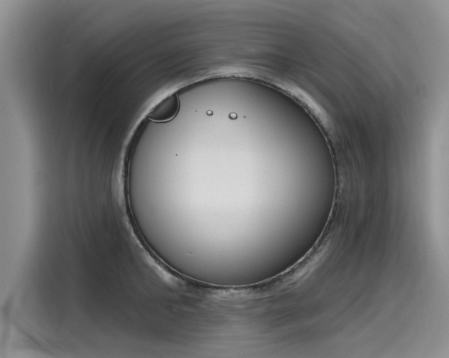 X0000116150902200911301538