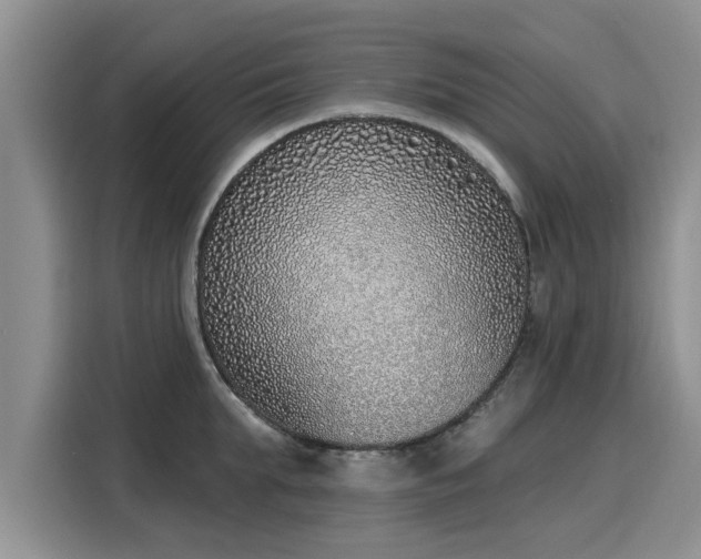 X0000116150903200911301538