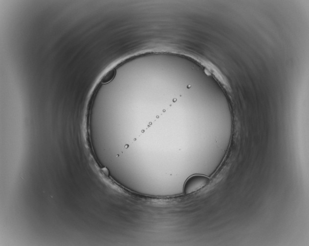 X0000116150904200911301538