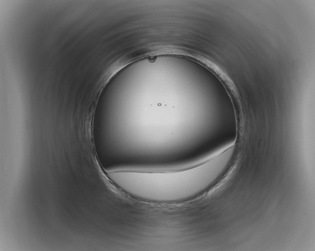 X0000116150905200911301538