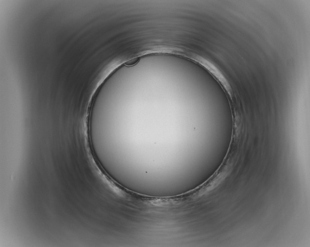 X0000116150906200911301538