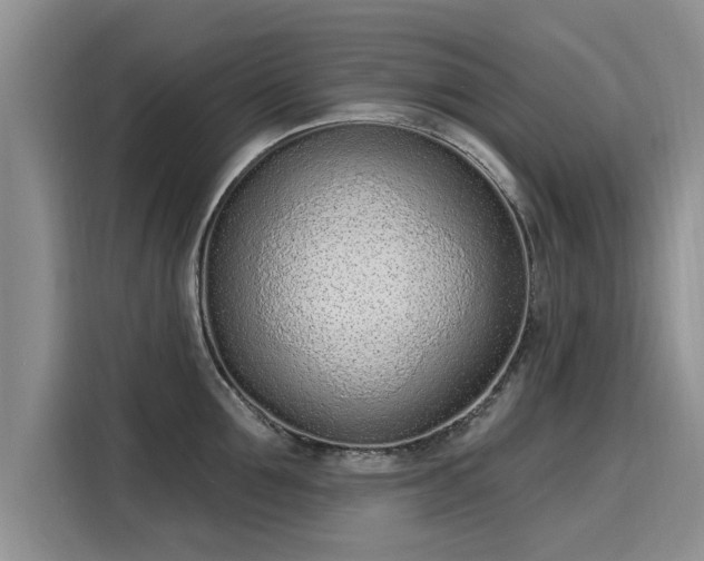 X0000116150907200911301538