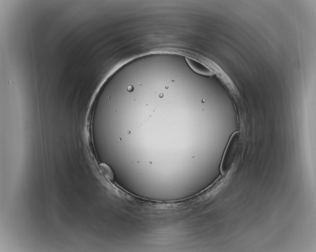 X0000116150908200911301538