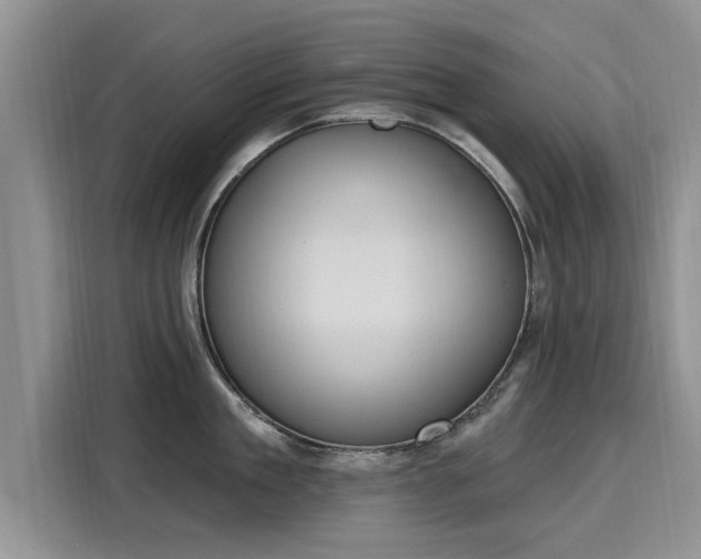 X0000116150909200911301538