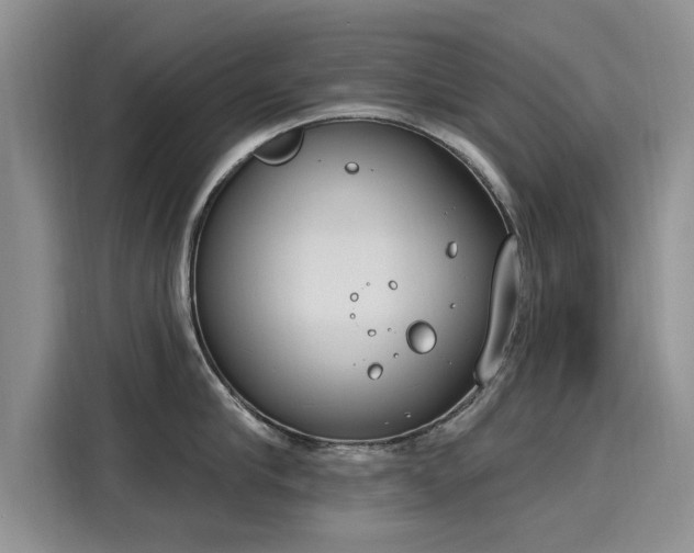 X0000116150910200911301538