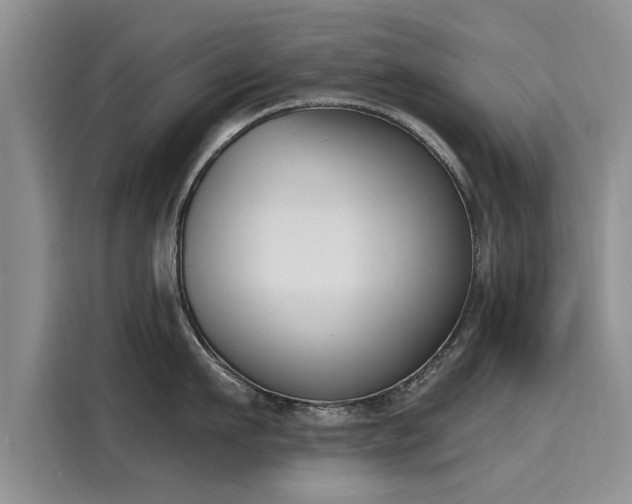 X0000116150911200911301538